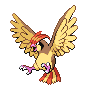 pidgeotto