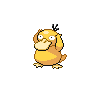 psyduck